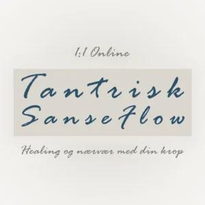 Tantrisk Sanseflow // 1:1 session 20 minutter (Online)
